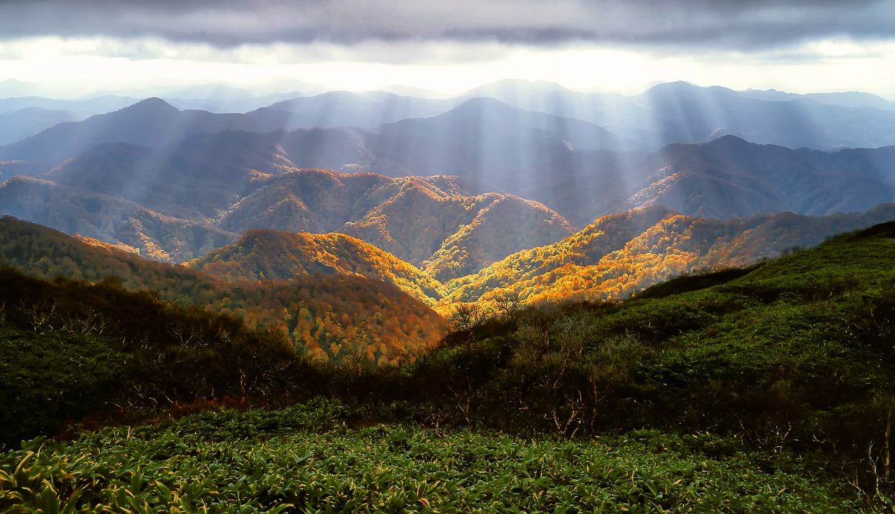autumn, mountains, shirakami-sanchi, forest, hills, landscape, sunbeams, sunlight, mountain ranges, mountainous, mountain landscape, nature, rural, countryside, autumn, autumn, autumn, mountains, mountains, mountains, mountains, mountains, forest, forest, forest, forest, landscape